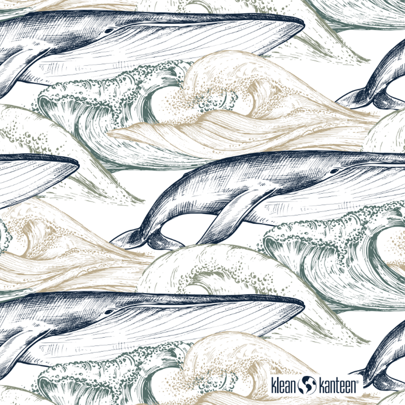 20oz-tkwide-with-twist-cap-ocean-day-c2 20oz_tkwide_bottle_seasonal_ocean_day_whale_artwork_square.png