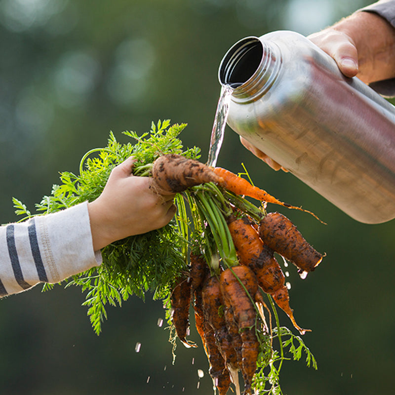 64oz-wide-with-loop-cap-n3 64oz_wide_mouth_bottle_carrots_rinse_square.jpg
