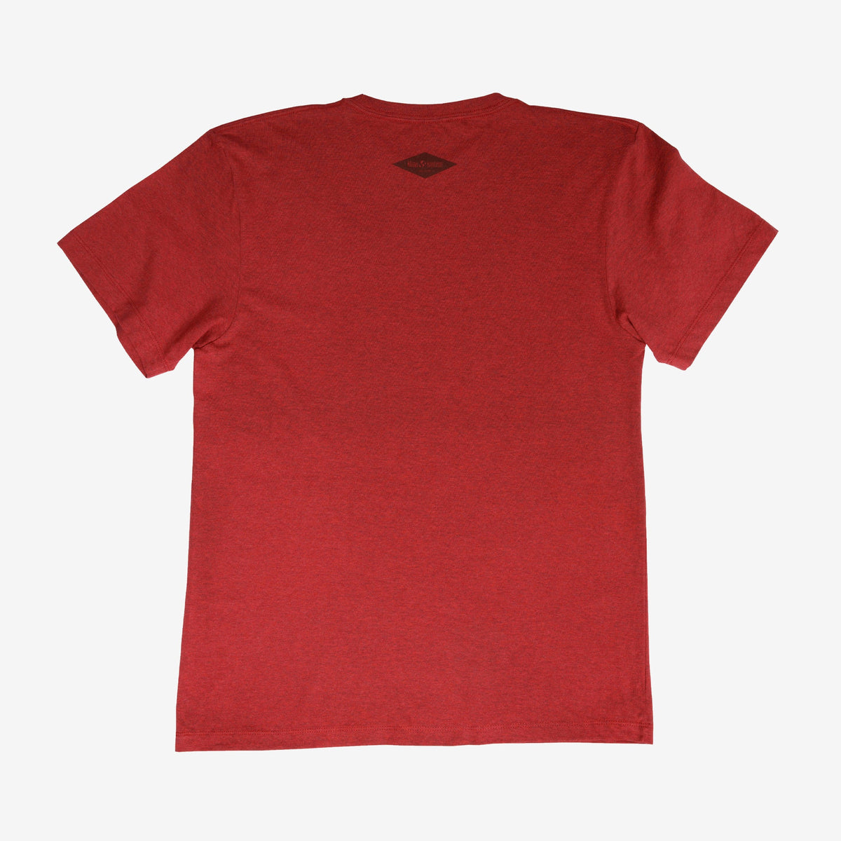 backyard-t-shirt-i6 Shirt_Mtn_Back.jpg